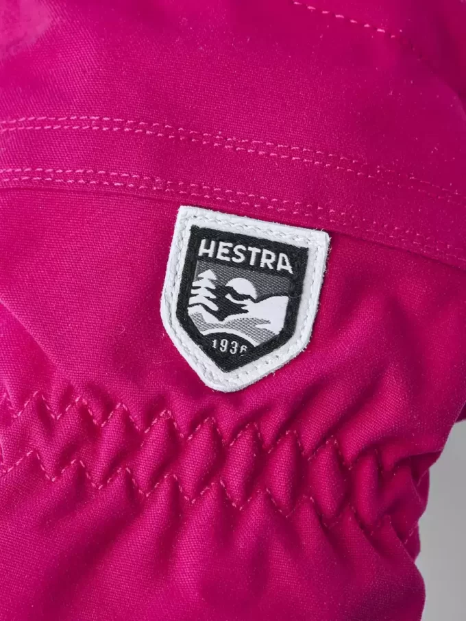 Heliskidåkning Kvinna Heliskidåkning Kvinna