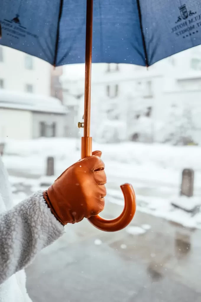 Hestra Tore Cork Hestra Tore Cork